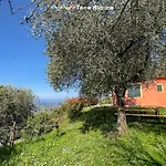 Degli Ulivi, Terre Marine Polverara