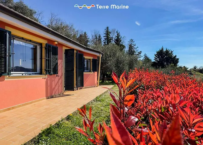 Degli Ulivi, Terre Marine 度假居 Polverara